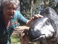 Erth Petting Zoo Sydney Childrens Festival October 7th-11th