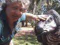 Erth Petting Zoo Sydney Childrens Festival October 7th-11th