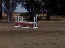 Truly Scrumptious jumper/equitation $65,000