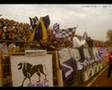 STORMCORNER Békéscsaba (mix)