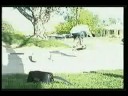 circa 2000.  featuring Jacob, Josh, Bryan, Dave, and Wade