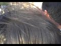 banda de guerra tecnologico de apizaco.flv