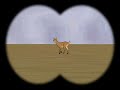 DCG - Auf der Jagd nach der Cartoon Doe
