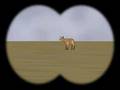 DCG - Auf der Jagd nach der Cartoon Doe