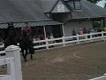 Clay Maier, Rein Dance Fresians 2