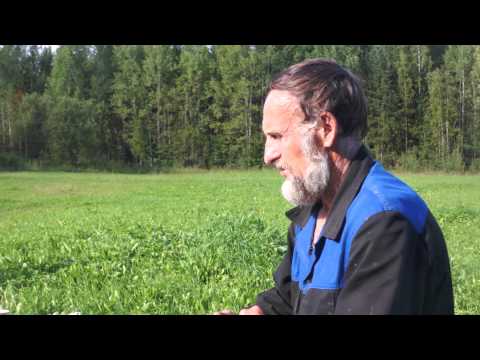 YouTube &ETH;&cent;&Ntilde;&ETH;&micro;&ETH;&sup1;&ETH;&raquo;&ETH;&micro;&Ntilde;