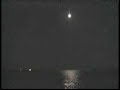 Dancing in the Moonlight