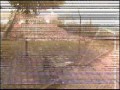 Il mio parco