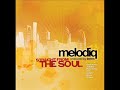 Melodiq ft. Nelace - The Overseers [Produced by Terem]