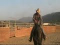 just a tib bit on sunka,with david lee archer