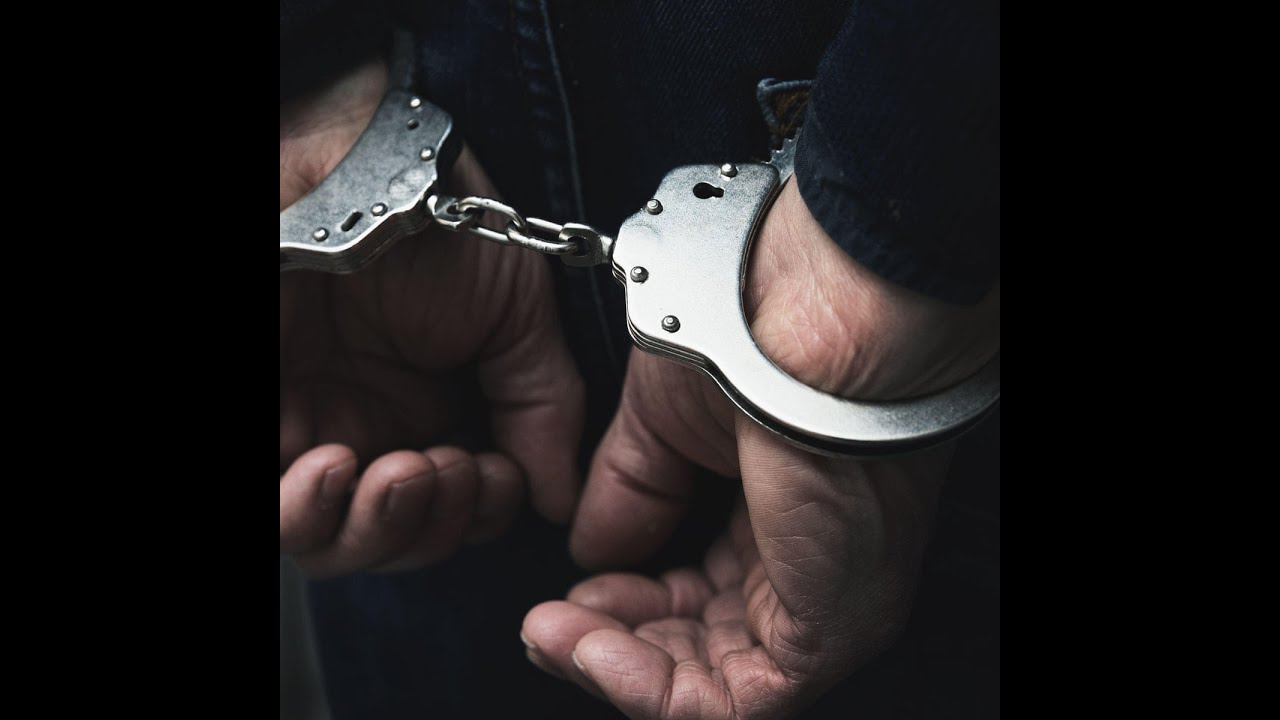 Interim bail in Covid अंतरिम ज़मानत- Lex Maven