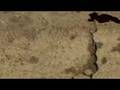 California Dreamin Teaser #1