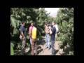 Telechirimoya Canal Sur Andalucia Directo
