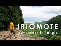 Prawdziwa dżungla w Japonii - Iriomote