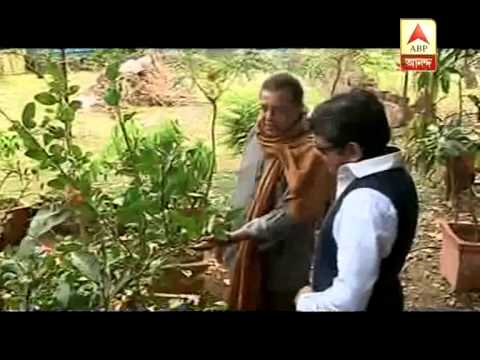 chakraborty - Sabuj dwiper raja: Mithun Chakraborty.