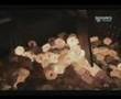 Śruby - Jak To Jest Zrobione? (How It's Made) :: Śruby wchodzą w skład prawie każdej maszyny. Zobacz jak się je... Obejrzyj film
