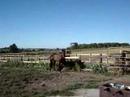 Caseys Bonanza at PLA-Aug 4-07