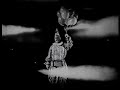 super 8 film shorts by Eric Patton
