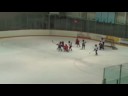 Mites Phantoms Mites Phantoms