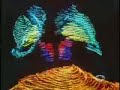 Emotologia - A Ci�ncia do Ser Humano