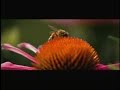 Nutrilite - Packaging