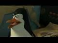 Madagascar-2-English