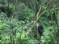 Veronica Varekova video 3