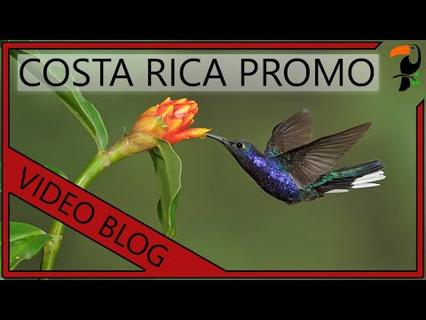 Bartley - A video from my Costa Rica Photography Workshops in 2011 and 2012. For more information visit me online at www.glennbartley.com. Please be sure to like this ...