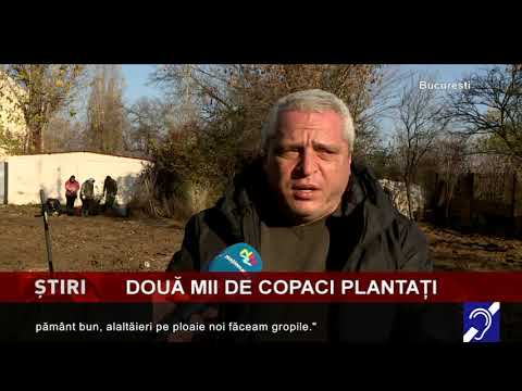 România Plantează pentru Mâine!