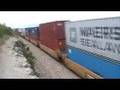 CSX 239 Leads CSX Q129, Intermodal, at Coffey's Cliff