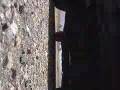 Assistir ao vídeo