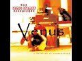The Chris Stamey Experience - Venus The Chris Stamey Experience - Venus