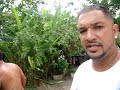 MOV01842.MPG