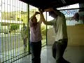 CU CU CUMBIA