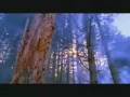 videos de Majestic Columbia River Gorge
