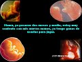 DI SI A LA VIDA