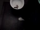 S&T vol.1: Shit happens