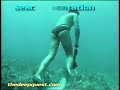 spearfishin Pipin Cuba spearfishing