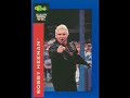 1991 WWF Superstars Cards (Classic) part 1/3