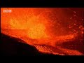 Global darkness catastrophe - What Really Killed the Dinosaurs? - BBC Science