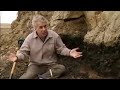 Global darkness catastrophe - What Really Killed the Dinosaurs? - BBC Science