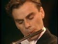 andrea griminelli: carmen fantasy concert in central park