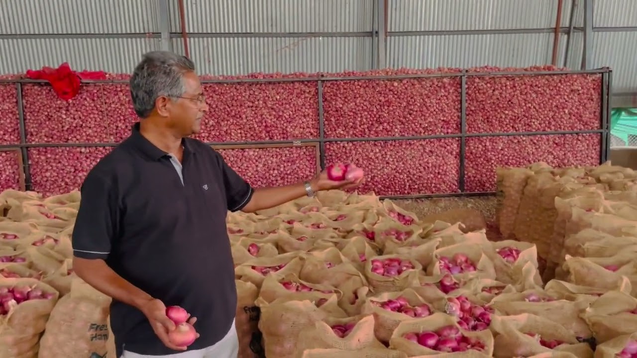 Pink Onion Export to UAE | Product related steps explained