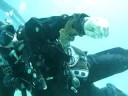 Playing with an octopus