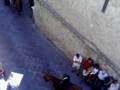 videos de sagra della spiga parte 4