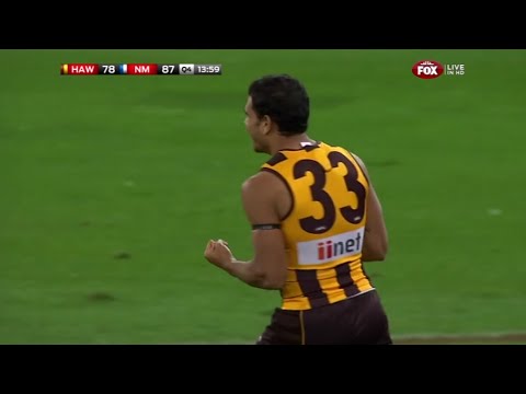 hawthorn - Hawthorn won a lucky one on a Sunday Twilight game at the 'G. North Melbourne put up a fight that was not expected and almost ran over the top of us. Cyril R...