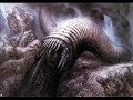 H.R. Giger and Terry Gilliam H.R. Giger and Terry Gilliam