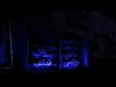 Borderlands Trailer