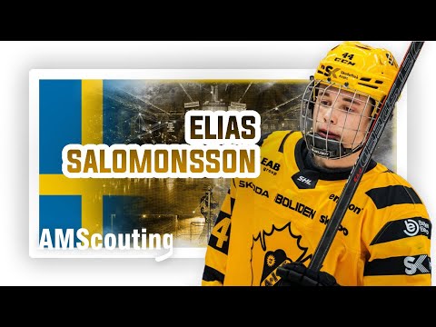 AMScouting - Elias Salomonsson