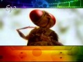 A focus on 2012 summer movies